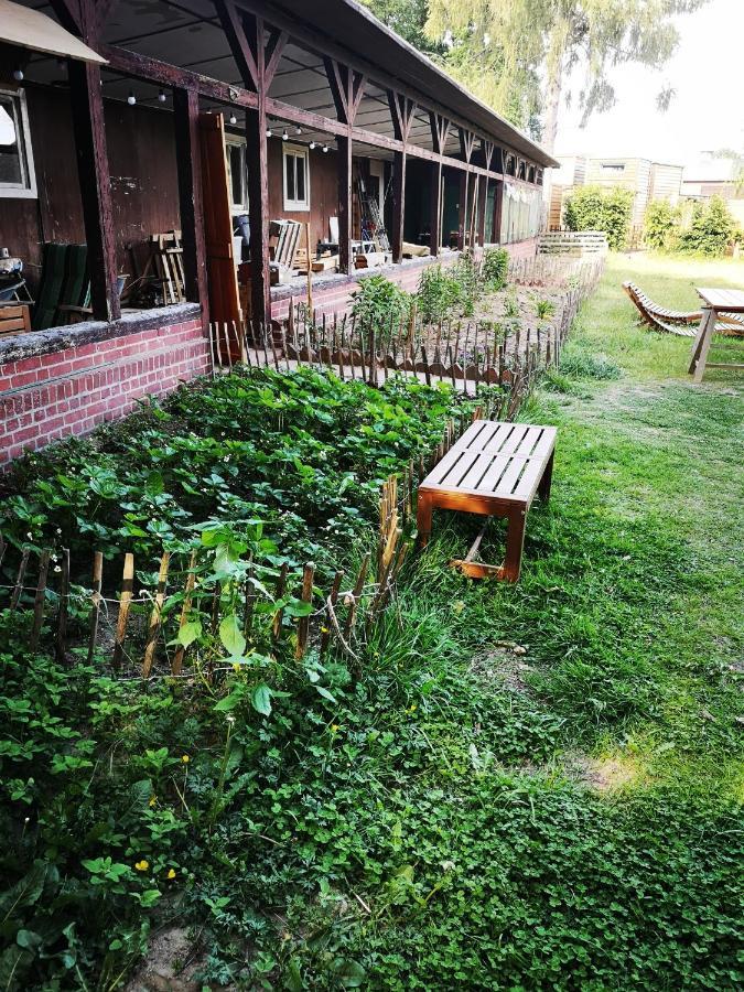 Gaestehaus Maria Rast Suderburg Dış mekan fotoğraf